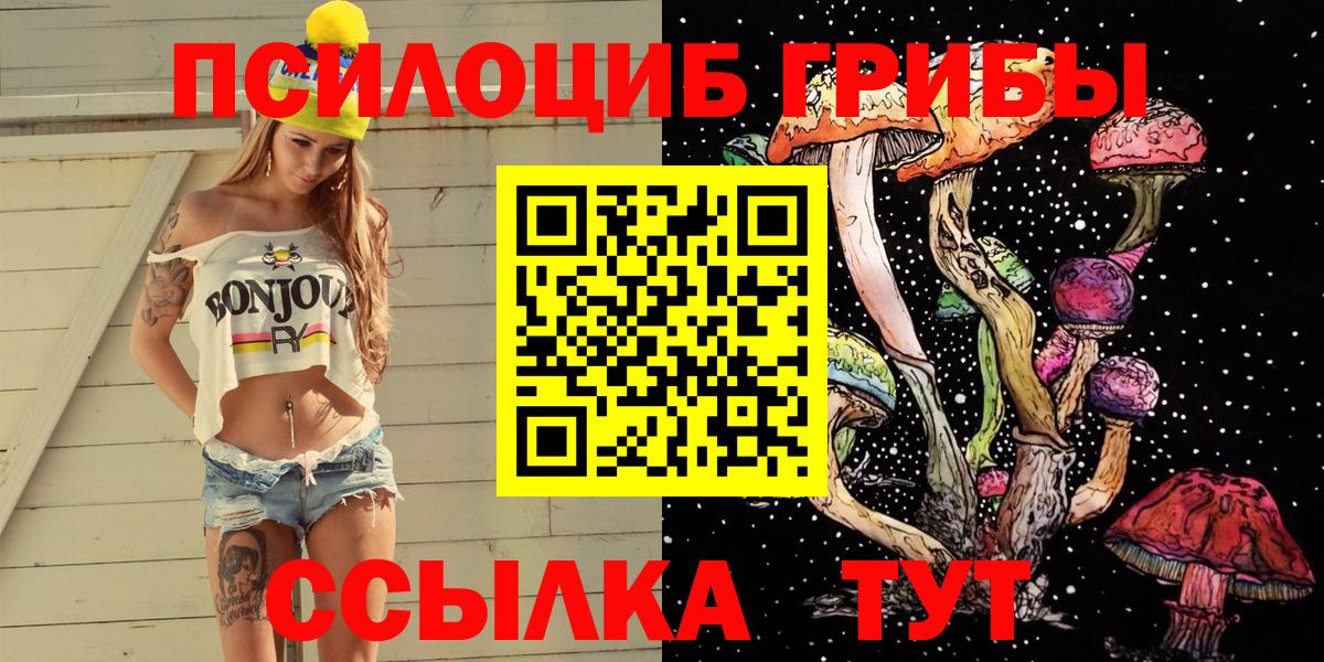 Псилоцибиновые грибы Psilocybe Наро-Фоминск